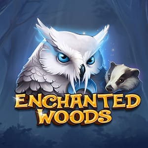 Enchanted Woods screenshot