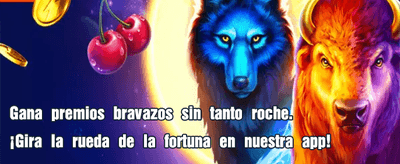 Tus apuestas favoritas aquí